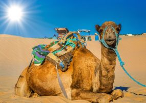 Нова година 2026 в Тунис, със самолет от София - 6 нощувки